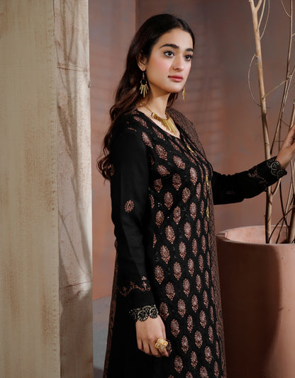 SHAB E ARZOO PRET COLLECTION